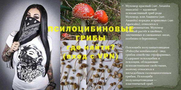 ешки Алексин