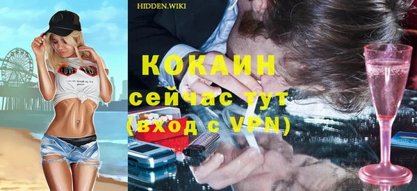 ешки Алексин