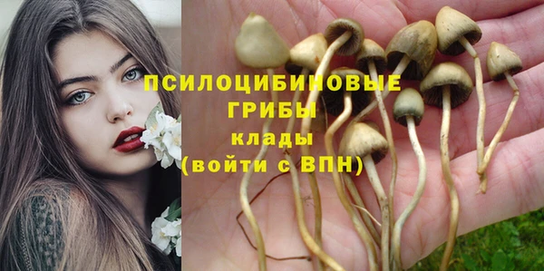 кокс Алексеевка