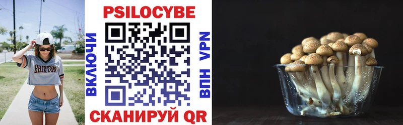 mega ССЫЛКА как найти закладки Себеж Галлюциногенные грибы мухоморы